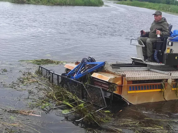 На річці Стохід у Любешові розпочали розчистку русла (фото)