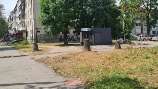 На Грушевського у Луцьку пустили під ніж «шість класних дерев» (фото)