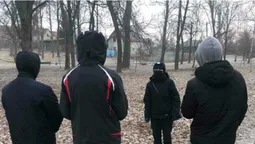 У Нововолинську молодиків, які знищили сосну в парку, змусили посадити 15 таких самих
