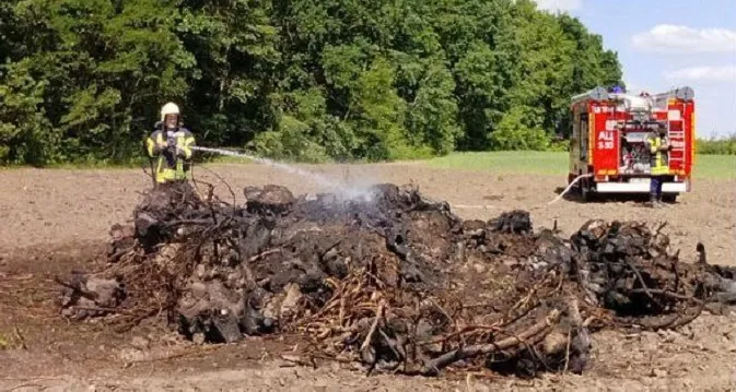 Міг зайнятися ліс: під Луцьком чоловік розпалив величезне вогнище (фото)