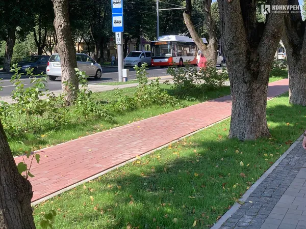 Озеленений проспект Волі