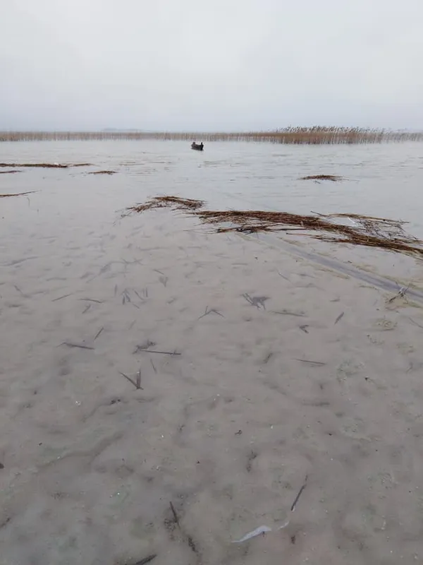 Світязь повертається: показали свіжі фото з волинського озера (фото)
