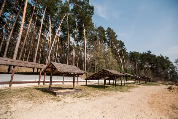 Електромобілі, велодоріжки та плавальні шляхи: перспективи «Проліску»