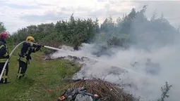 У Ковелі з невідомої причини загорілася купа сміття (фото)