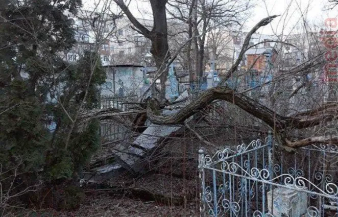 Пам’ятники розбиті: у Ковелі на кладовищі вітер повиривав дерева з корінням (фото, відео)