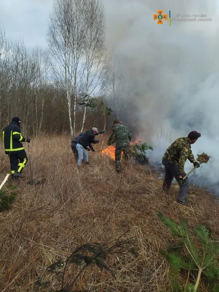 Зумисні підпали: за добу на Волині вигоріло понад 23 гектари землі (фото)