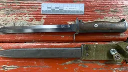 У луцькому сквері затримали чоловіка зі штик-ножем (фото)