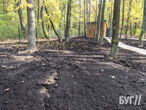 Альтанки, стежки з бруківки, освітлення: біля Володимира оновлюють рекреаційну зону (фото, відео)