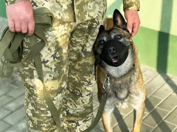 Волинський прикордонник і його собака разом 7 років на варті порядку (фото)