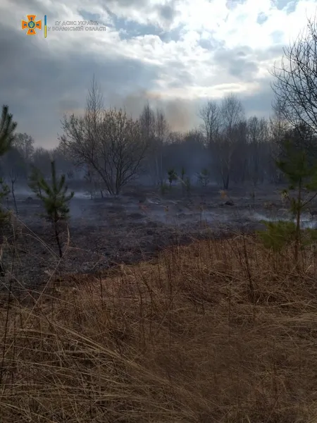 Зумисні підпали: за добу на Волині вигоріло понад 23 гектари землі (фото)