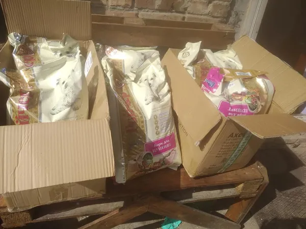 Луцькі безпритульні собаки отримали допомогу від невідомого благодійника (фото)