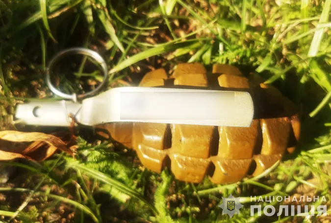 На Волині у помешканні дебошира знайшли гранати та набої (фото)