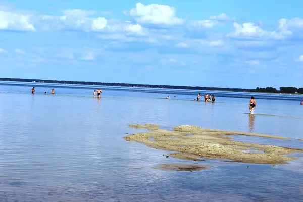 Світязь міліє: всі чекають, коли озеро перетвориться на калюжу? (фото)