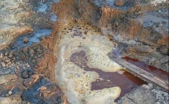 У Луцьку вимагають не зливати нечистоти на поля фільтрації цукрового заводу