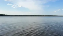 На Поліссі причаїлось озеро з безлюдними пляжами та неймовірними містичними лісами поруч (відео)