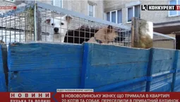 Жінку з 20 котами та псами виселили за межі Нововолинська (відео)