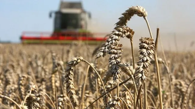 ТОП-10 волинських аграріїв, які платять найбільше податків
