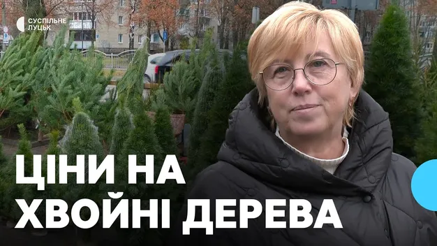 🌲У Луцьку запрацювали ялинкові ярмарки: де купити і скільки коштує (фото, відео)
