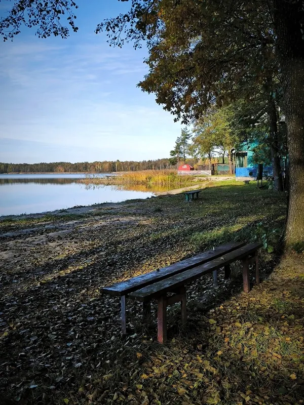 Осінній спокій озера Пісочне у Ковельському районі (фото)