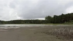 На Волині зникає на очах улюблене озеро: показали моторошні кадри водойми (фото, відео)