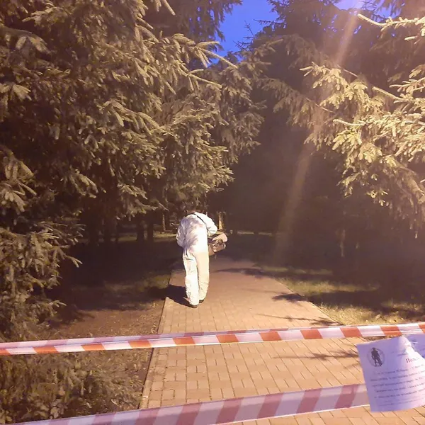Як вночі в луцькому парку знищували кліщів та комарів (фото)