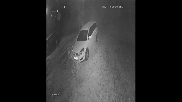 Луцький крадій автомобільних ковпаків потрапив на камеру спостереження (відео)