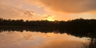 На Волині є унікальне крихітне озеро з золотистою водою (фото)