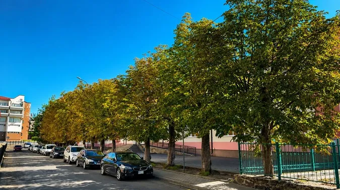 Фото: Суспільне