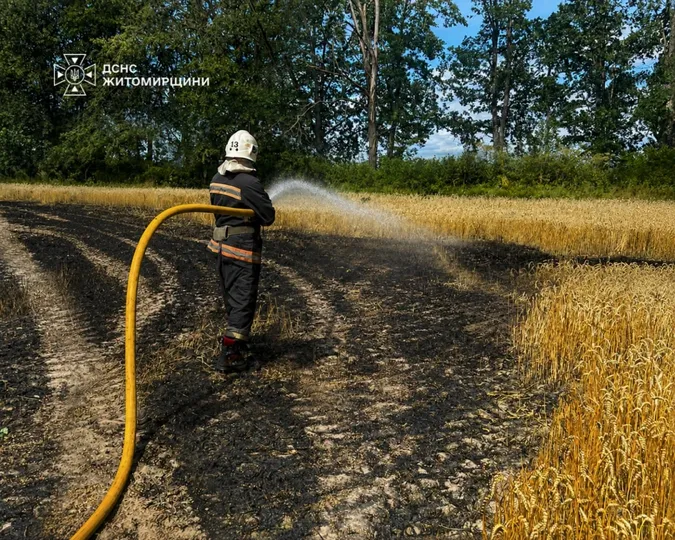 На Житомирщині через російську атаку вигоріло пшеничне поле