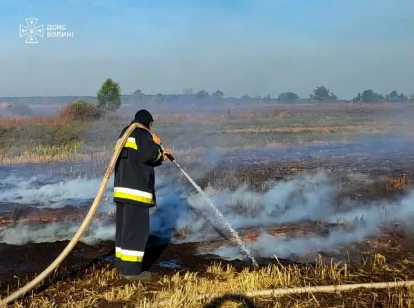Шість пожеж за добу: на Волині другий день гасять торфовище (фото)