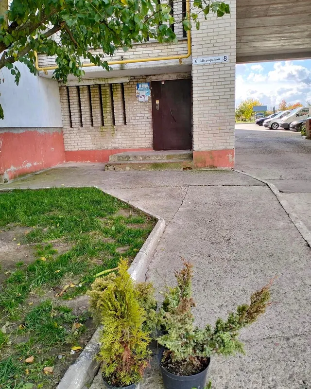 ОСББ Нововолинська висадять 400 саджанців декоративних рослин (фото)