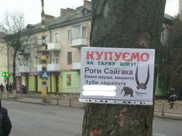 У Луцьку на стовпах знайшли дивну рекламу наркотиків (фото)
