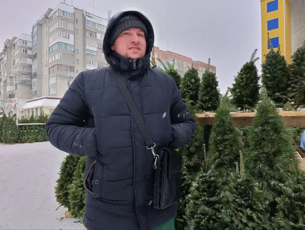 У Луцьку стартував продаж ялинок і сосен: де купити і скільки коштує