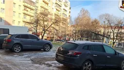У Луцьку муніципали покарали водіїв за знищений газон (фото)