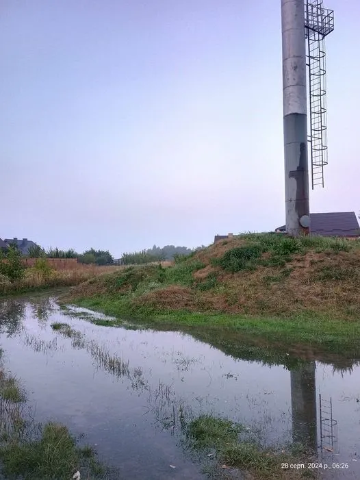 Фото з допису пані Олени