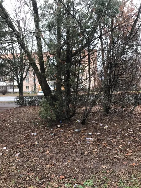 «Свинство найвищого рівня»: луцький сквер потопає у смітті (фото, відео)