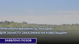 На Волині через суд хочуть захистити унікальний заказник, де гніздяться десятки видів птахів