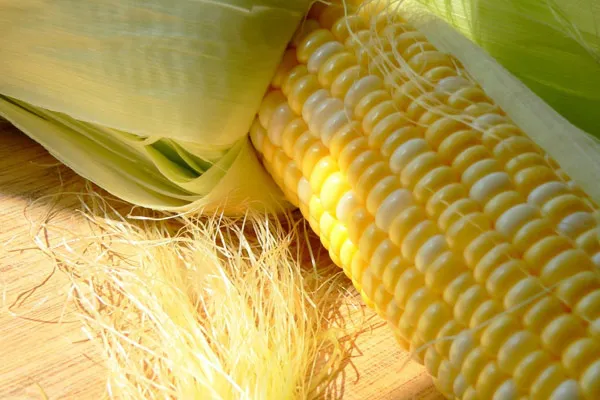 ЄС дозволив 5 генетично модифікованих культур у продуктах