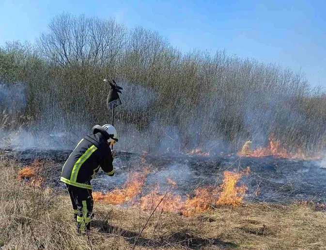 На Волині за допомогою БпЛА виявили пожежу – тепер шукають палія (відео)