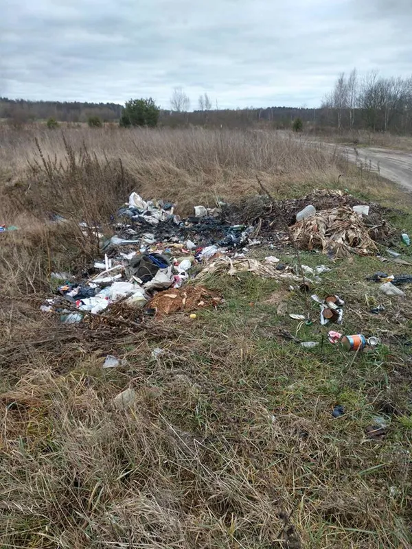 Волинянин заплатить комунальникам за прибирання сміттєзвалища (фото)