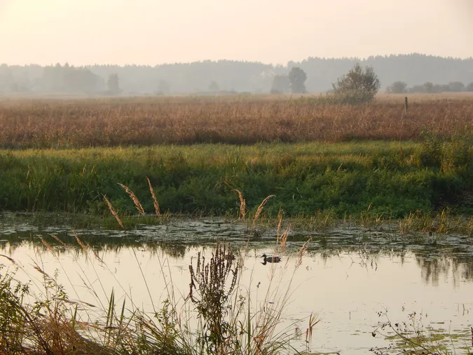 🍂 Мережу зачарували барви осені над Стоходом (фото)