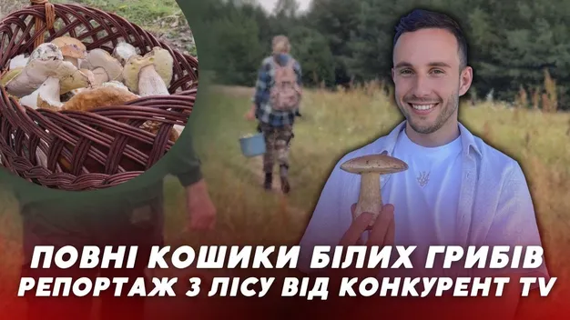 Як журналісти гриби шукали (відео)
