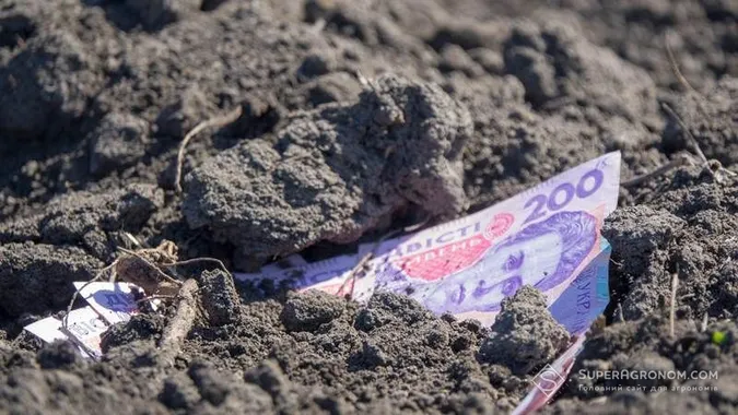 Місцеві бюджети Волині отримали за землю майже 400 мільйонів гривень