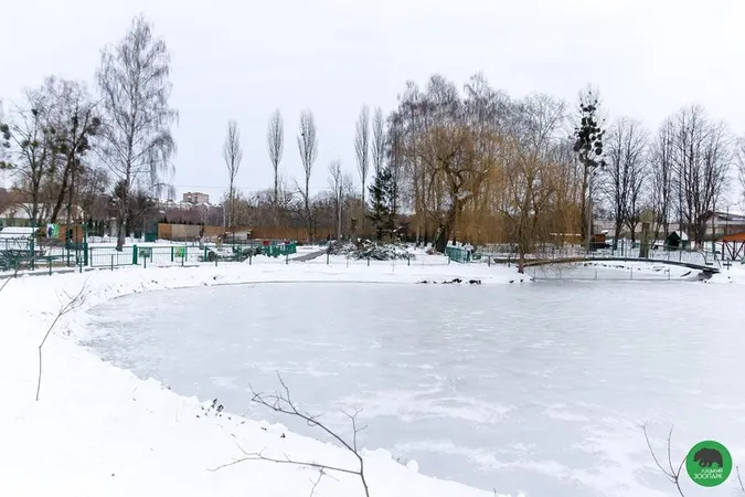 У Луцькому зоопарку «ловили» останні зимові кадри (фото)