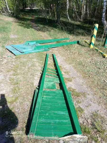 Нічого святого: напередодні Різдва нацпарком на Волині пронеслися невідомі вандали