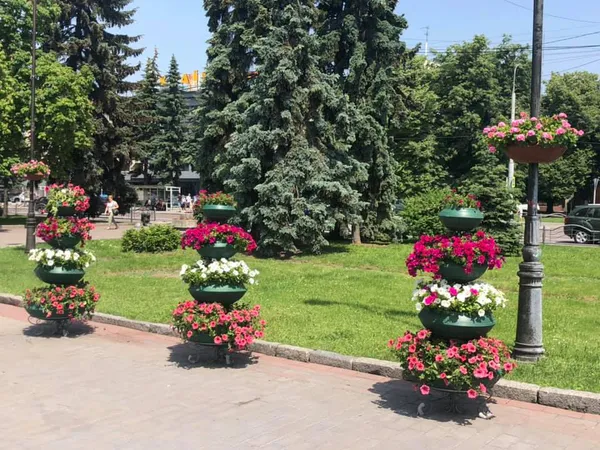 Собор, вулиці, зоопарк: показали, як квітне Луцьк (фото)
