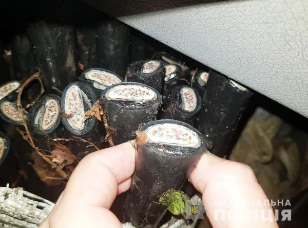 На Волині з підприємства вкрали три мішки мідного кабелю (фото)