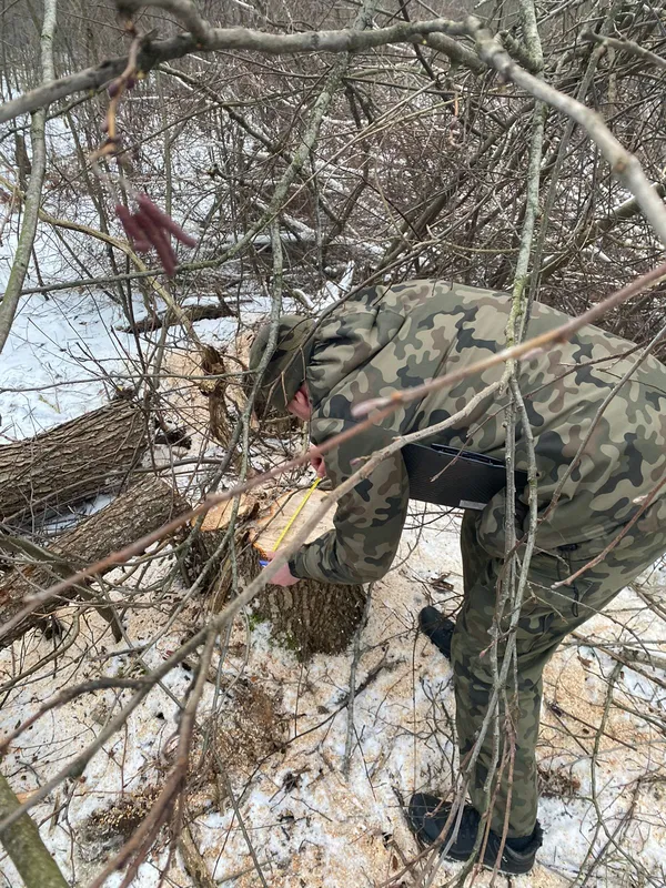 Рубали дерева і розставляли пастки на тварин: на Ковельщині зловили лісопорушників (фото)