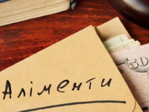 Арешт майна і заборона виїзду за кордон: волинянина змусили сплатити аліменти за 13 років