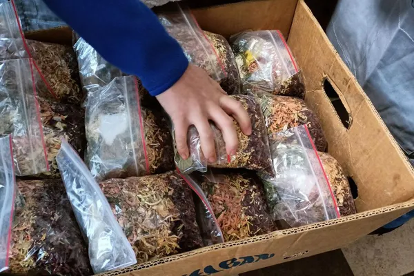 Волиняни готують сухий борщ для бійців на передову (фото, відео)